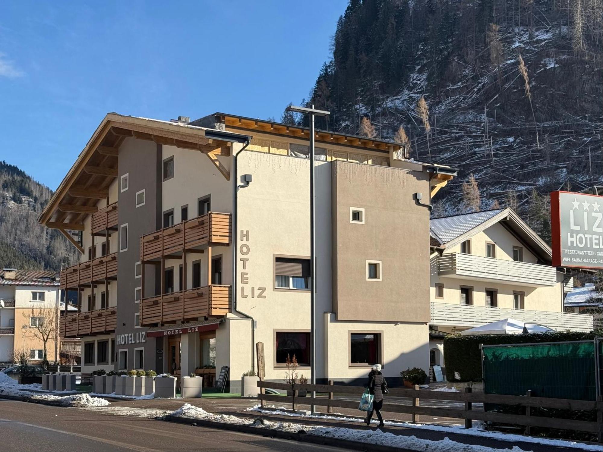 Liz Hotel & Apartments Predazzo Exterior foto
